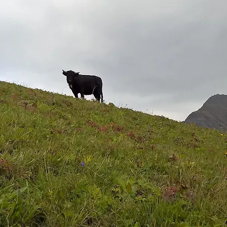 Rodasia Verbier